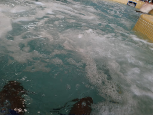 Aquatic Centre «North Arundel Aquatic Center», reviews and photos, 7888 Crain Hwy, Glen Burnie, MD 21061, USA