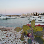 Photo n°2 de l'avis de Giorgio.e fait le 31/07/2021 à 20:53 sur le  Molo54 à Vieste