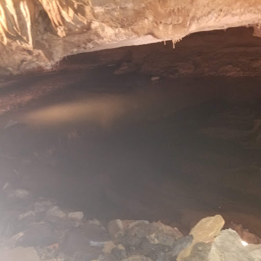 Tourist Attraction «Bristol Caverns», reviews and photos, 1157 Bristol Caverns Hwy, Bristol, TN 37620, USA