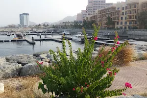 Mina Al Fajer Resort image