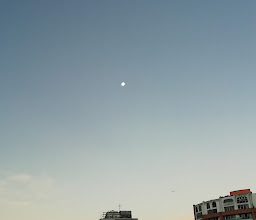 Suites Ejecutivas Parioli photo