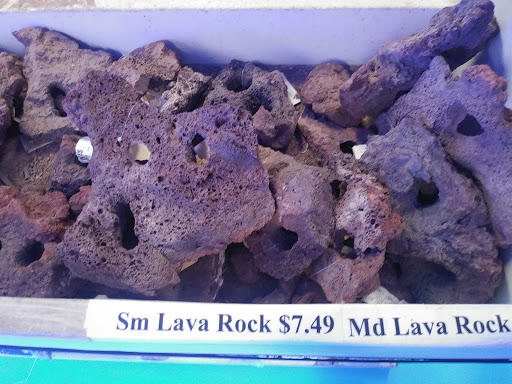 Pet Store «The Aquarium & Fish Store», reviews and photos, 710 W Lumsden Rd, Brandon, FL 33511, USA