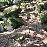 Photo n°3 de l'avis de Michael.c fait le 14/07/2022 à 09:17 sur le  Höhengaststätte Rietburg à Edenkoben