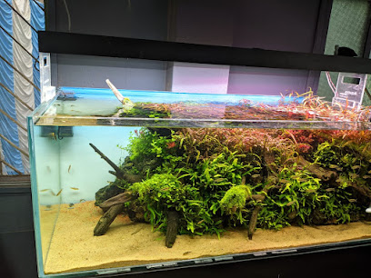 TiCi Nature Aquarium and Vertical Garden