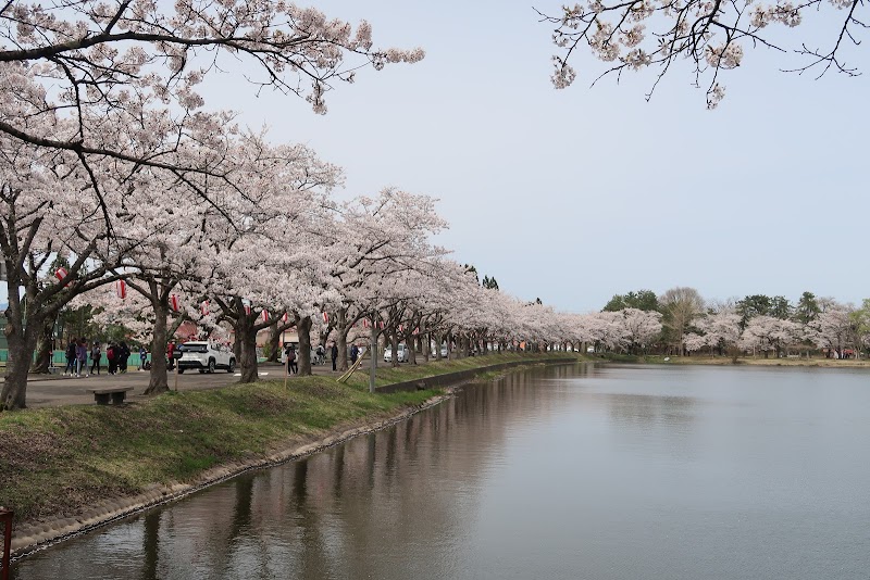 中央公園野球場