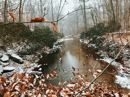 National Park «Prince William Forest Park», reviews and photos, 18170 Park Entrance Rd, Triangle, VA 22172, USA