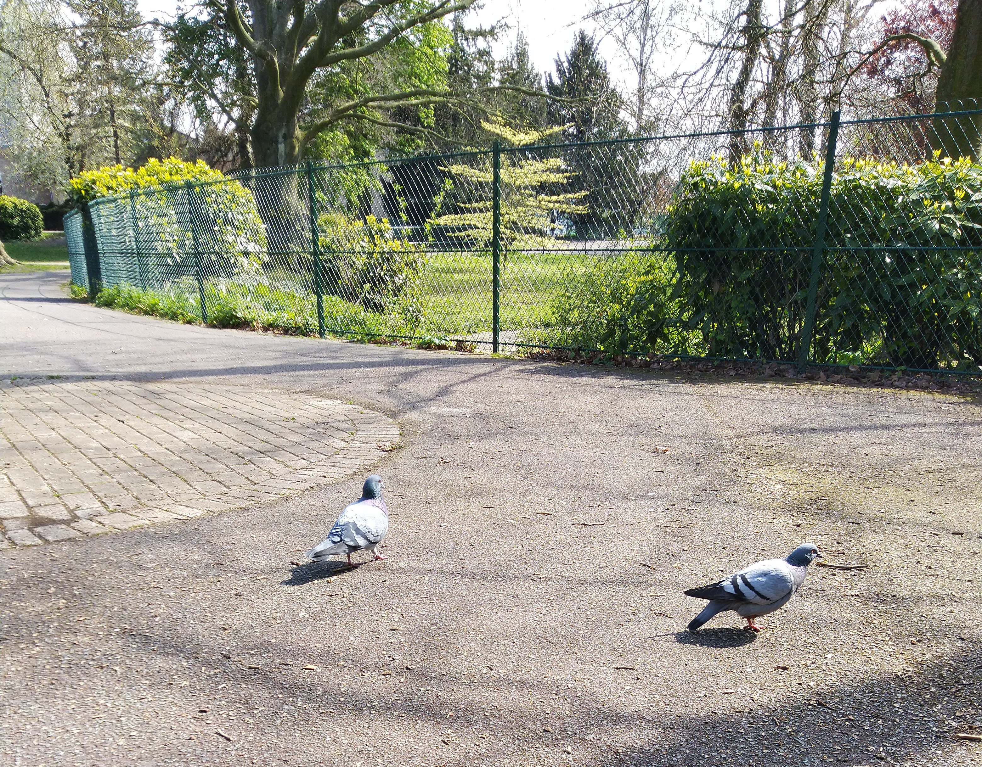 Photo n° 5 de l'avis de Aina.a fait le 10/04/2019 à 15:40