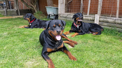 Lily's Rottweilers