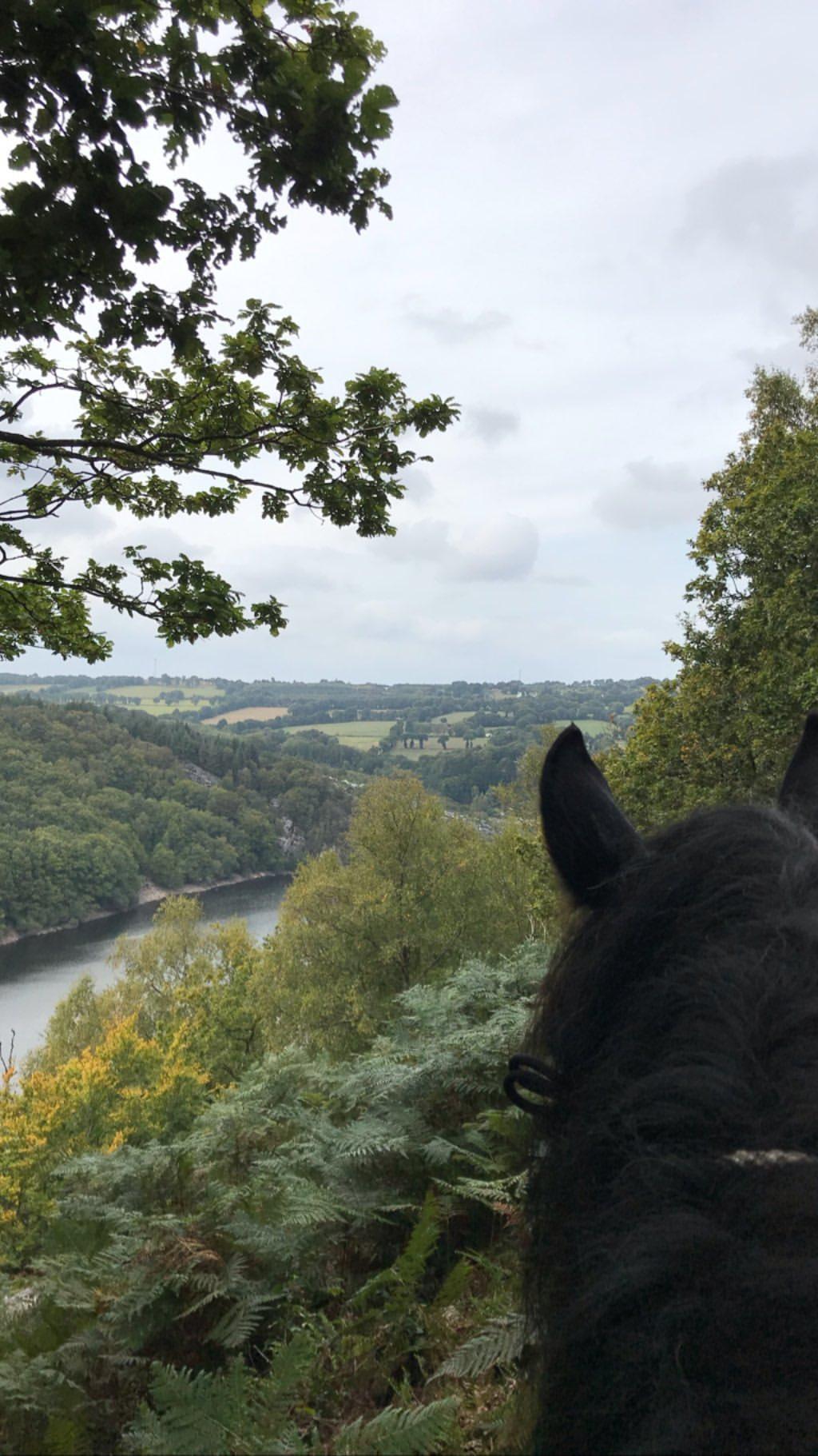 Photo n° 1 de l'avis de Cloé. fait le 29/12/2019 à 13:14