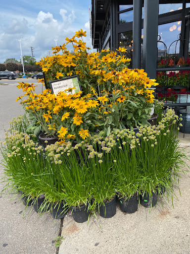 Grocery Store «Westborn Market», reviews and photos, 21770 Michigan Ave, Dearborn, MI 48124, USA