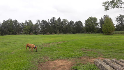 Branxton Off-leash Dog Park