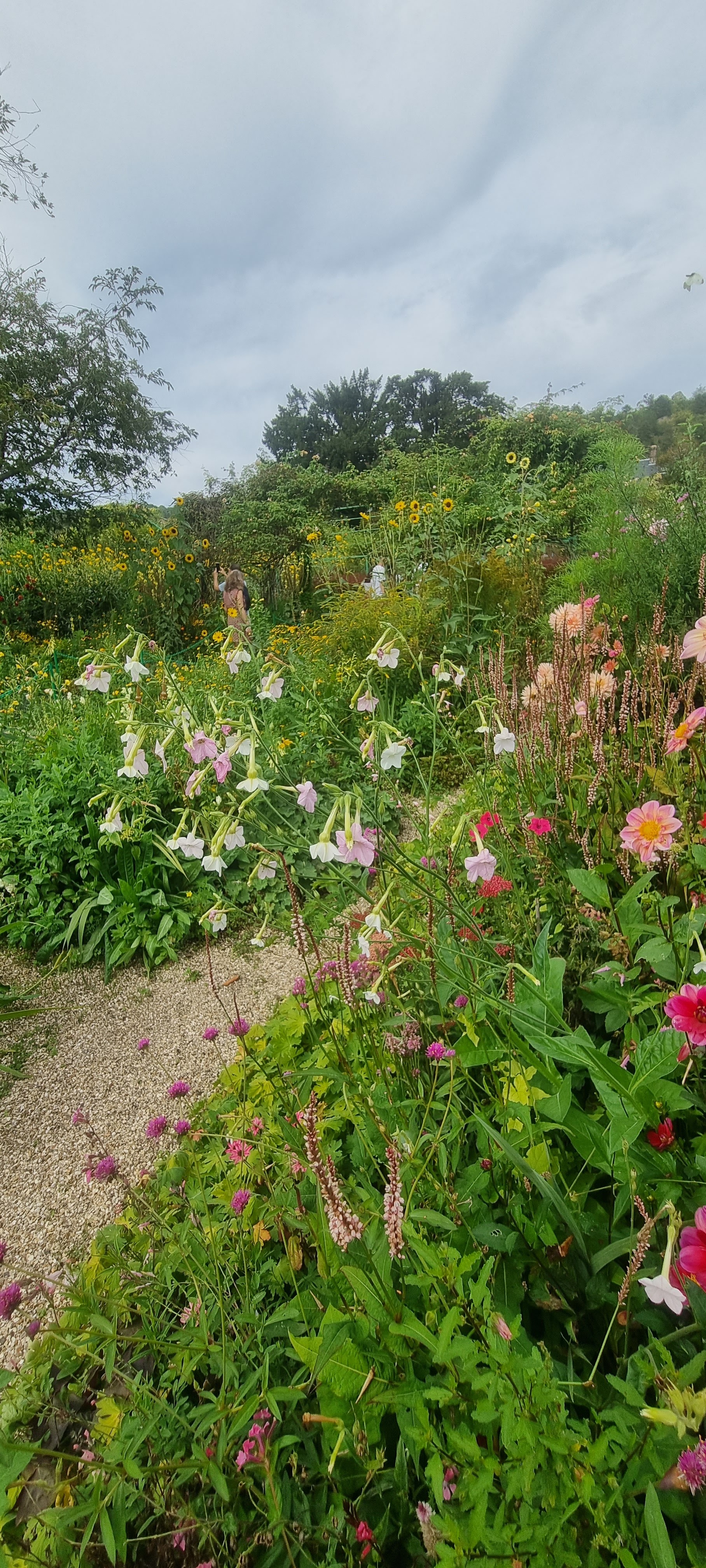 Photo n° 5 de l'avis de Kelly.a fait le 17/09/2023 à 21:00