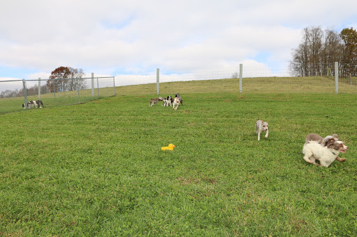 Pet Store «Furry Babies Inc», reviews and photos, 3340 Mall Loop Dr, Joliet, IL 60431, USA