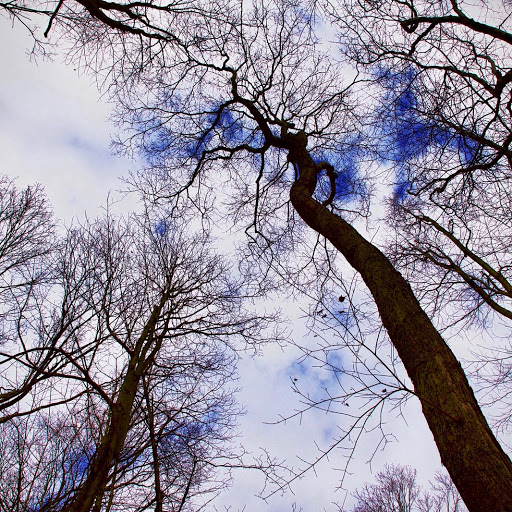 Nature Preserve «Audubon Greenwich», reviews and photos, 613 Riversville Rd, Greenwich, CT 06831, USA