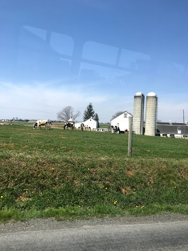 Tourist Attraction «Amish Experience», reviews and photos, 3121 Old Philadelphia Pike, Bird in Hand, PA 17505, USA