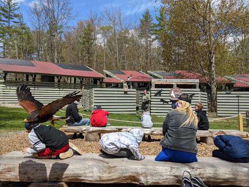 Environmental Organization «VINS Nature Center», reviews and photos, 6565 Woodstock Rd, Quechee, VT 05059, USA