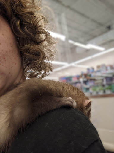 Pet Supply Store «Pet Supplies Plus», reviews and photos, 1155 Washington Pike, Bridgeville, PA 15017, USA