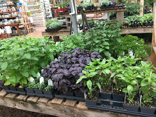 Plant Nursery «Sturtz & Copeland Florist & Greenhouses», reviews and photos, 2851 Valmont Rd, Boulder, CO 80301, USA