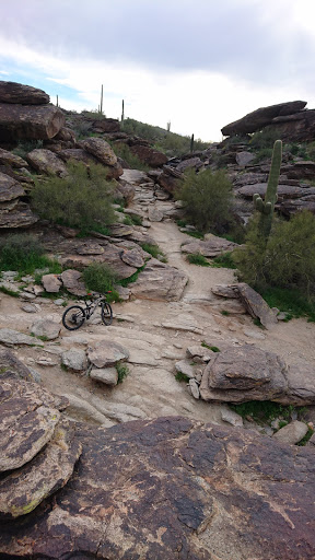 Bicycle Store «Landis Cyclery», reviews and photos, 2180 E Southern Ave, Tempe, AZ 85282, USA