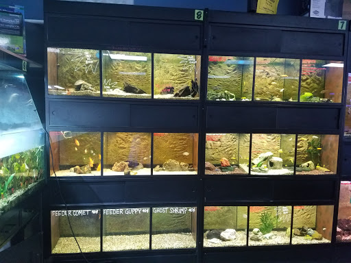 Tropical Fish Store «Pisces Reef Fish Emporium, LLC», reviews and photos, 9326 W Sahara Ave, Las Vegas, NV 89117, USA
