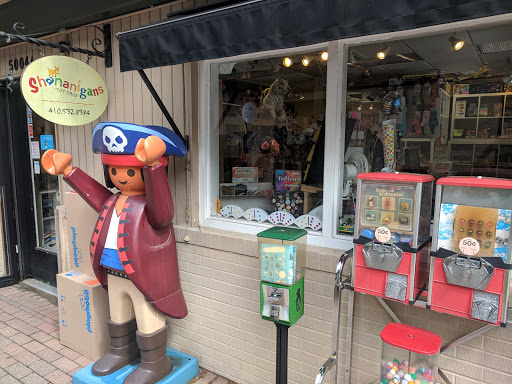 Toy Store «Shananigans Toy Shop», reviews and photos, 5004 Lawndale Ave, Baltimore, MD 21210, USA