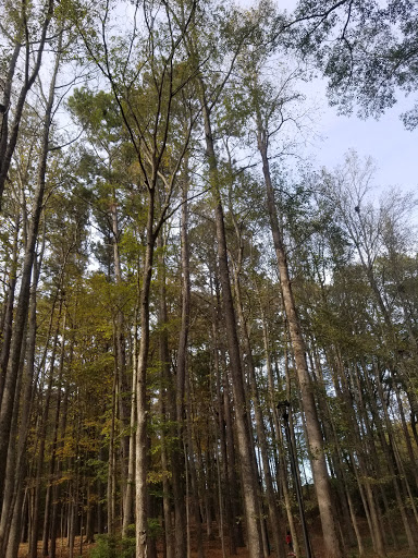 Park «Clark Community Park», reviews and photos, 111 Davis Rd, Stockbridge, GA 30281, USA