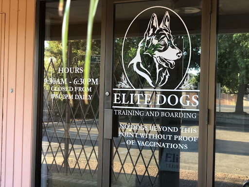 Elite Dogs Training & Boarding