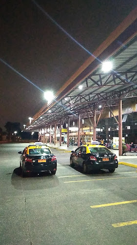 Opinii despre Taxis Rodoviario în Temuco - Servicio de taxis
