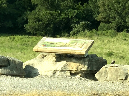 Nature Preserve «Elk and Bison Prairie», reviews and photos, Elk & Bison Prairie Rd, Golden Pond, KY 42211, USA