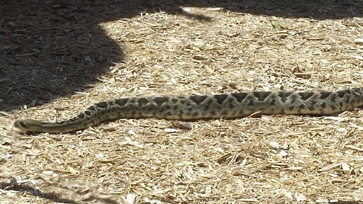 Zoo «Naples Zoo at Caribbean Gardens», reviews and photos, 1590 Goodlette-Frank Rd, Naples, FL 34102, USA