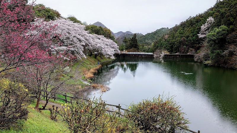 東谷砂防ダム