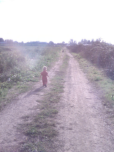 Farm «Bella Organic Farm», reviews and photos, 16205 NW Gillihan Rd, Portland, OR 97231, USA