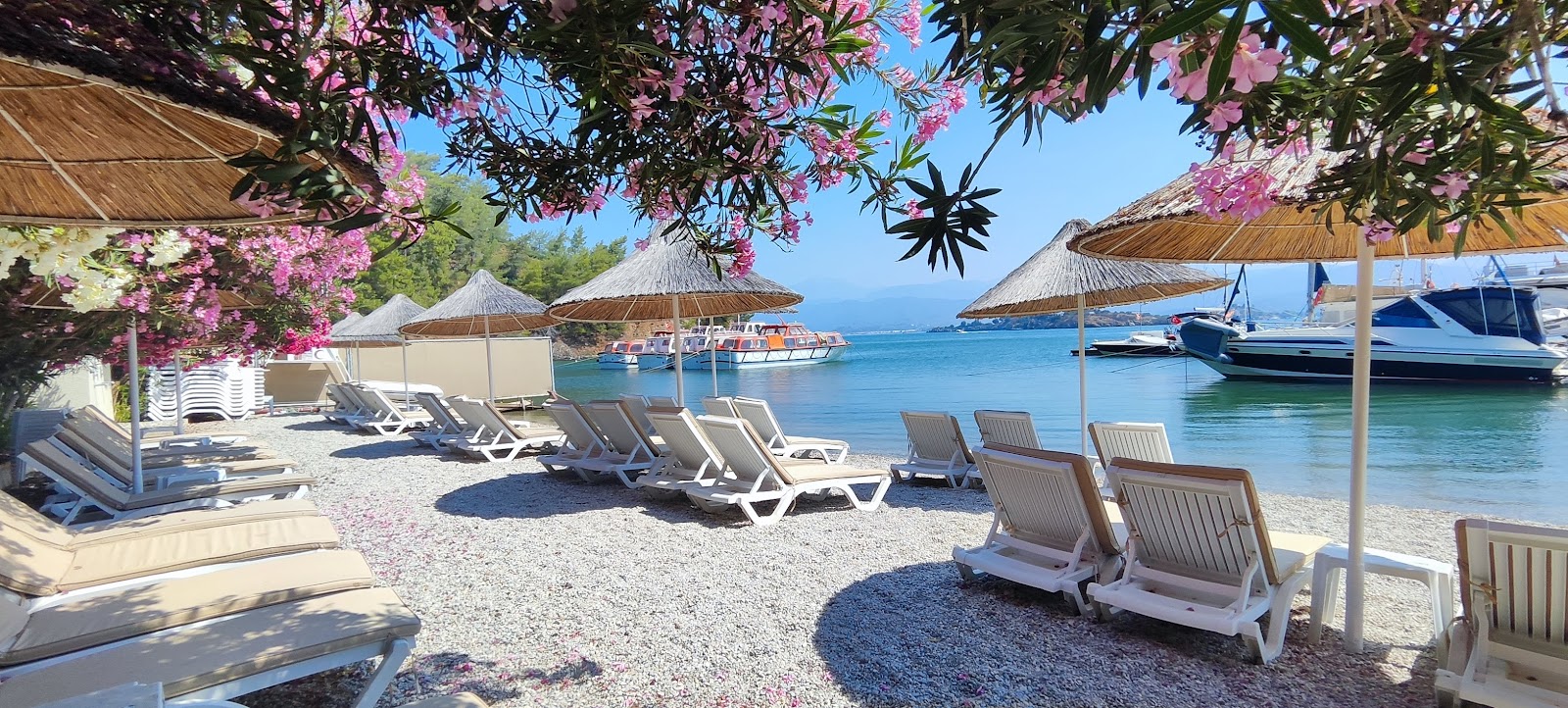 Foto von Alesta Beach mit kleine, graue kiesel Oberfläche