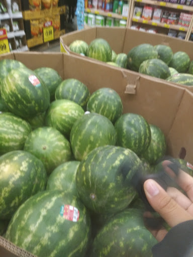 Grocery Store «Grocery Outlet Bargain Market», reviews and photos, 9026 E Valley Blvd, Rosemead, CA 91770, USA