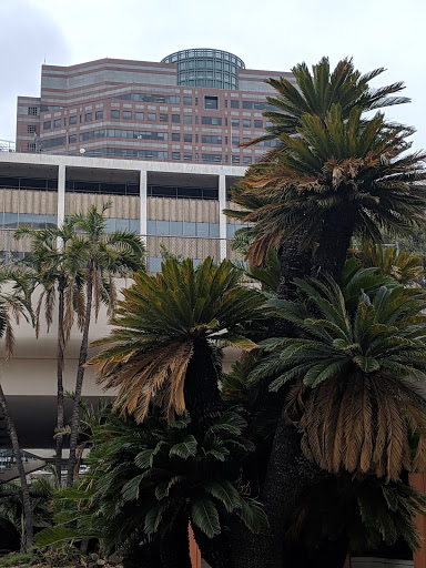 Shopping Mall «Los Angeles Mall», reviews and photos, 201 N Los Angeles St, Los Angeles, CA 90012, USA