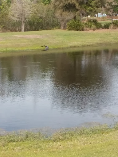 Nature Preserve «Conner Preserve», reviews and photos, 22500 FL-52, Land O Lakes, FL 34637, USA