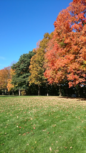 Golf Course «Fresh Pond Golf Course», reviews and photos, 691 Huron Ave, Cambridge, MA 02138, USA