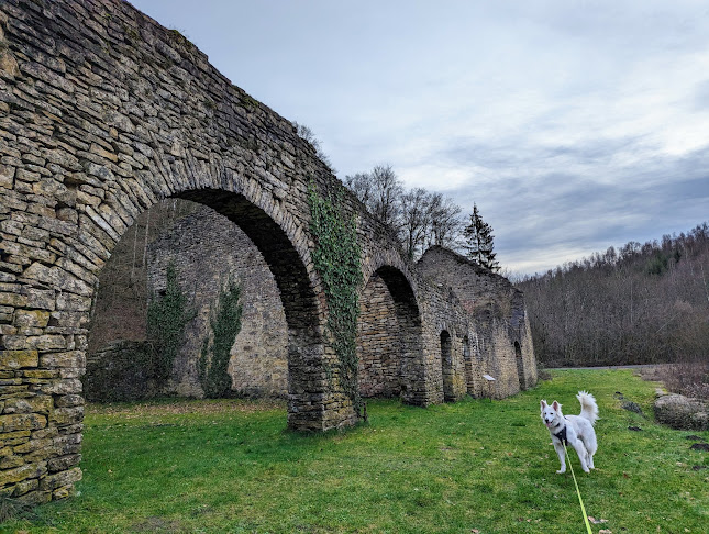 Beoordelingen van Archeologisch park en steenmuseum van Montauban in Aarlen - Museum