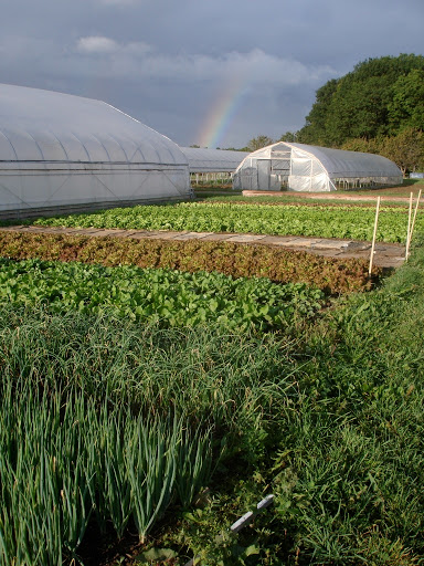 MSU Student Organic Farm and Organic Farmer Training Program