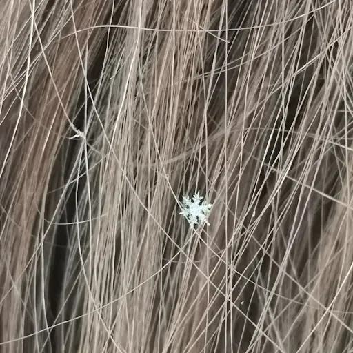 Park «Pasteur Park», reviews and photos, 5825 S Kostner Ave, Chicago, IL 60629, USA