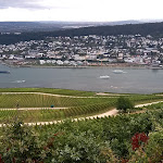 Photo n°1 de l'avis de Niels.r fait le 12/10/2021 à 15:21 sur le  Rudesheim à Rüdesheim am Rhein
