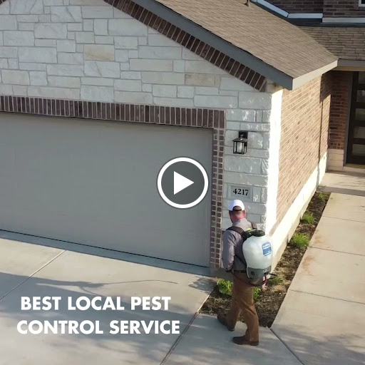 Alta Pest Control - Austin, Texas image 2