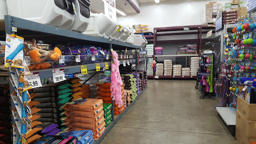 Pet Supply Store «Pet Club Hayward», reviews and photos, 27451 Hesperian Blvd, Hayward, CA 94545, USA