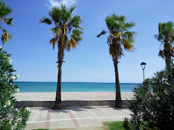 Photo de Platja del Marjal avec un niveau de propreté de très propre