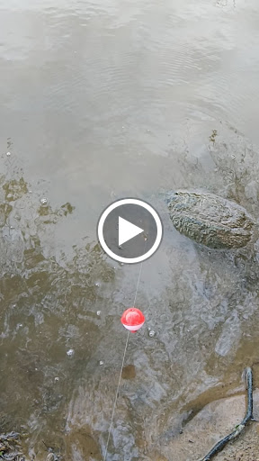 Park «Katherine Rose Memorial Park», reviews and photos, 303 N Walnut Creek Dr, Mansfield, TX 76063, USA