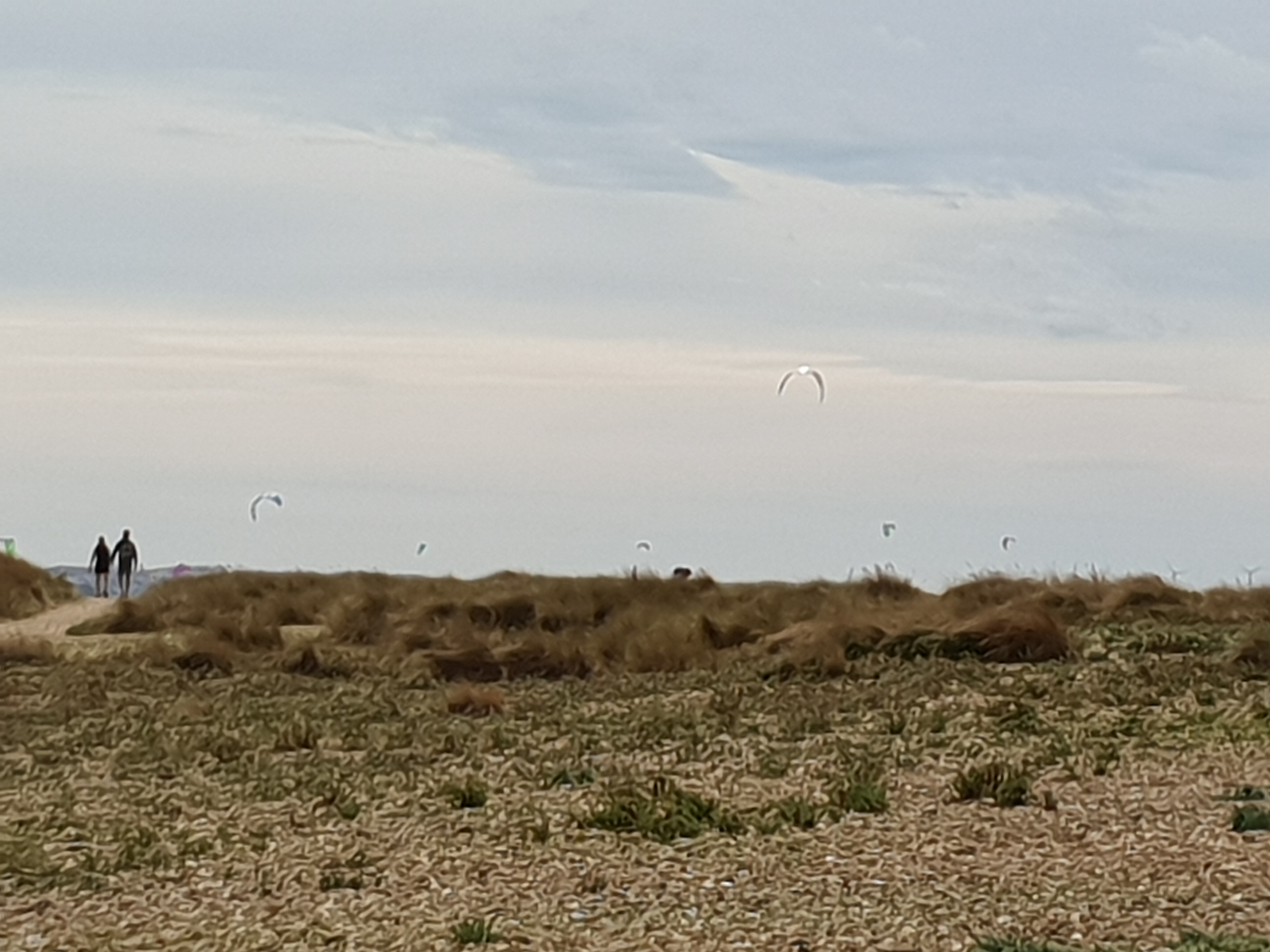 Photo n° 17 de l'avis de Laure.U fait le 25/09/2018 à 04:11