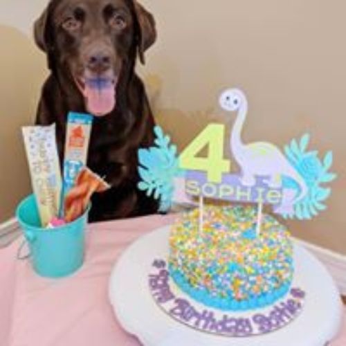 Pet Supply Store «3 Dogs and a Chick», reviews and photos, 130 Miracle Strip Pkwy SE, Fort Walton Beach, FL 32548, USA