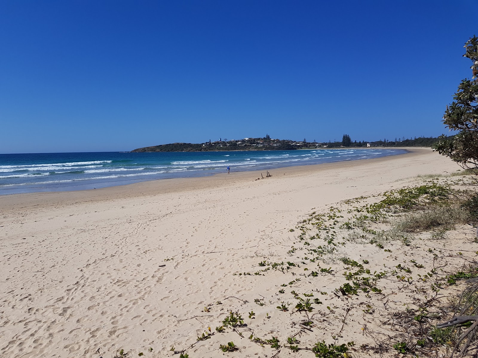 Photo of Woolgoolga Beach with blue pure water surface