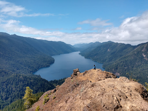 National Park «Olympic National Park», reviews and photos