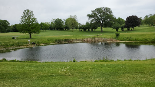 Window Tint Countryside, IL